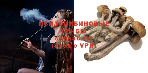 молекула духа Белокуриха