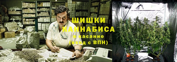 молекула духа Белокуриха