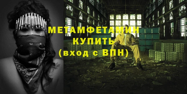гидра Богородск