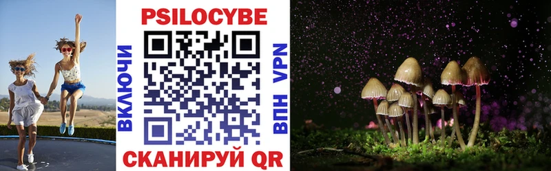 Купить где  Гусиноозёрск  Псилоцибиновые грибы ЛСД 